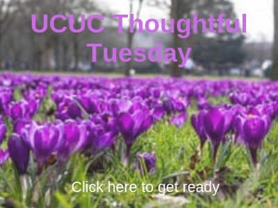 Thoughtful Tuesday